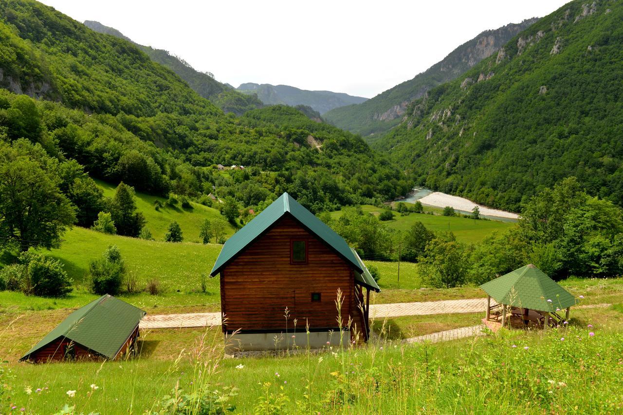 Villa Kamp Kaludra à Mojkovac Extérieur photo